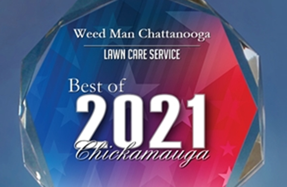 Weed Man Chattanooga Receives 2021 Best of Chickamauga Award
